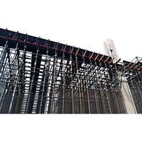 Moldes de Pared Reutilizables Más de 100 Veces, de ABS de Alta Resistencia, Reemplazo de Acero para la Construcción de Casas Modulares, Techos y Pilares