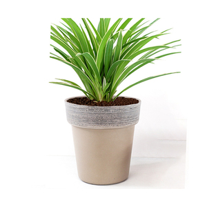 Vente en gros Pots <span class=keywords><strong>de</strong></span> fleurs en plastique personnalisés pour plantes d'intérieur Bonsaï Plantes Jardinage Cultiver <span class=keywords><strong>Pot</strong></span> <span class=keywords><strong>de</strong></span> fleurs pour usage domestique - Product Image 4