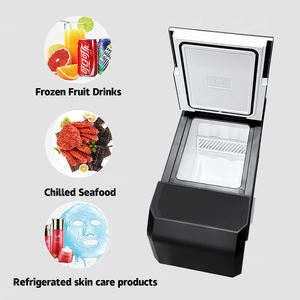 Refrigerador para Consola Central Cybertruck de 18L con Compresor de Enfriamiento a -6°C ℃ ~20 ℃   Ajustable - Product Image 6