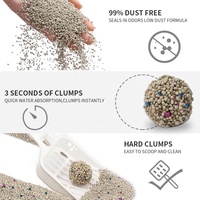 Bentonite naturelle pour animaux de compagnie, prix usine, haute qualité, sans pollen, personnaliser la bentonite sanitaire pour chat