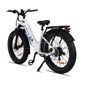 US Warehouse Only 2024 New Electric Bicycle 750 W 20inch Fat Tire Electric Bicycle Scooter 48v US 1000w 2" Electric Bicycle