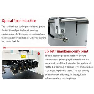 Machine à jet d'encre TIJ en ligne Imprimante à plat facile à utiliser pour les œufs de texte en plastique pour l'usine - Product Image 5