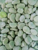 Haricots verts pelés surgelés IQF de qualité supérieure, certifiés HACCP, 10 kg/carton, légumes surgelés naturels de haute qualité pour la transformation alimentaire