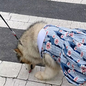 Robe chemise pour animaux de compagnie, printemps/été, forêt profonde, pour chats, ours en peluche, golden retrievers, malamutes d'Alaska, samoyèdes, huskies - Product Image 5