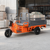 Tricycle de cargaison robuste 1200W moteur 60V batterie 500kg charge entraînement à courant continu à aimant permanent pour la