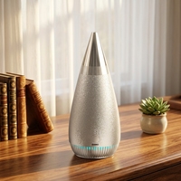 Diffuseur d'huiles essentielles sans eau, électrique, en acier inoxydable, 100 ml, rechargeable, télécommande