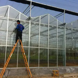 Agriculture d'intérieur à prix abordable serre en verre multi-travées culture hydroponique laitue