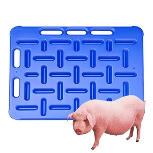 Vách ngăn lợn dày cho trang trại lợn từ nhà máy