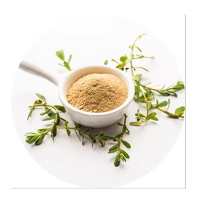 ผงสกัดบาโคปาคุณภาพสูง 20% บาโคไซด์ สารสกัดจากใบบาโคปา โมนิเอรี ผงสมุนไพรจากพืช วัตถุดิบ จำหน่ายจำนวนมาก - Product Image 4