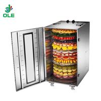 Déshydrateur Rotatif Commercial à 16 Grilles pour Fruits et Viandes