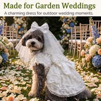Tenue de Mariée pour Chien en Dentelle et Satin avec Voile Perlé et Nœud – Accessoire pour Petits Chiens