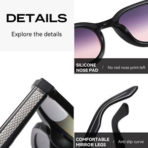 Lunettes de soleil ovales polarisées UV400 en film coloré TR90 de la marque HK Sunray Fashion, lunettes de soleil pour femmes, lunettes rétro pour hommes - Product Image 3