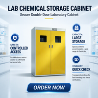 Armoire de stockage de gaz de laboratoire ventilée entièrement en acier avec système d'alarme de sécurité, armoire de stockage de gaz anti-explosion pour laboratoire