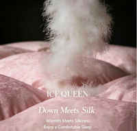 Couette légère et respirante en duvet de canard, taille Queen, pour l'automne et l'hiver, insert de couette fin blanc en tissu de coton, ensemble de literie