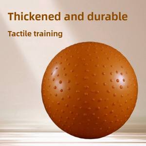 Ballon de Fitness de sport inodore anti-déflagrant lisse antidérapant femmes enceintes perte de poids balle d'équilibre accessoire de Massage de Yoga - Product Image 5