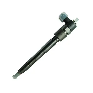 Sinotruk Howo Light Truck Parts Fuel injector