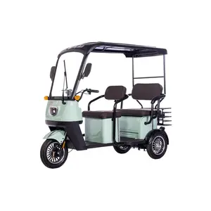 H30 Triciclo de Carga Triciclo Elétrico para Venda Carro de Passageiros Adulto 3 Rodas Dobrável Carga Power Mobility Scooter Três Rodas 12V