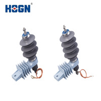 HOGN YH10W Protection contre les surtensions et la foudre haute tension en oxyde de cuivre polymérique de haute qualité certifiée ISO9001 par Bureau Veritas