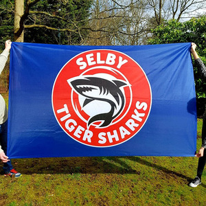 Topkwaliteit Promotionele Goedkope Custom Festival Vlag - Product Image 6