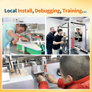 Automatic Continuous Horizontal Carton <b>Box</b> Packing Cartoning Machine For <b>Small</b> Health Products Vitamins Collagen Peptides - Product Image 6