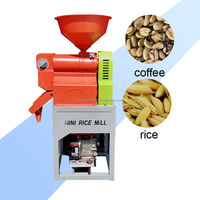 Moulin à riz à éplucher les grains de café de grande capacité Fraiseuse à riz diesel Machine à raice automatique Moulin à riz