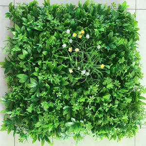 Piante naturali arte della parete vere piante con felci esotiche-decorazioni verdi per portare la natura nella tua casa e nello spazio di lavoro-piante da ufficio - Product Image 3