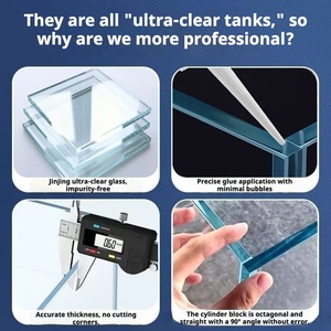 Aquarium rectangulaire en verre ultra-clair épaissi pour aquascape, tortue, plusieurs tailles - Product Image 3