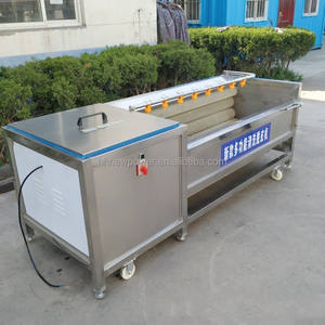 Automatisation haute efficacité manioc carotte gingembre pomme de terre lavage Machine à éplucher fruits et légumes Machine de nettoyage - Product Image 6