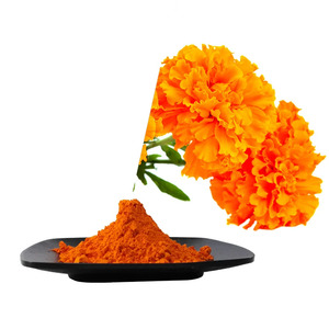 Poudre de lutéine en microcapsules, matière première de qualité alimentaire, extrait de marigold, lutéine soluble dans l'eau - Product Image 1
