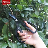 Snoeischaar In Koreaanse Stijl Voor Tuinieren Oogsten Druiven Dragon Fruit Fruit Groenten Potplanten Trimmen Schaar"