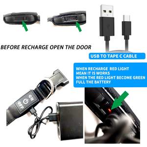 Collar de Perro Luminoso LED con Patrón <span class=keywords><strong>3D</strong></span> Personalizado, de PU Suave, Recargable por USB-C, Brilla en la Oscuridad, para Paseos Nocturnos - Product Image 3