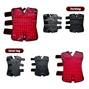 Perangkat Terapi Kesehatan Kepala Kuda 660nm 850nm Terapi Cahaya Merah Dekat Inframerah Sepatu Terapi Cahaya Merah untuk Kuda - Product Image 4