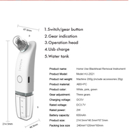 Appareil portable de nettoyage facial à bulles multiples avec embouts interchangeables pour un nettoyage en profondeur de la peau – Équipement de beauté en gros
