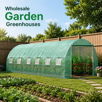 Serre tunnel robuste 6x3x2m avec structure en acier thermolaqué et couverture en toile PE, protection des plantes en hiver