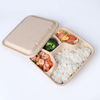 Offre Spéciale : Boîte à lunch jetable biodégradable à 4 compartiments en bagasse de canne à sucre, conteneur alimentaire carré avec couvercle, capacité 1000 ml