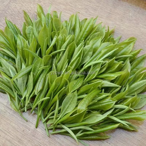 Thé vert frais 2026, thé en vrac pour la réduction <span class=keywords><strong>de</strong></span> la graisse <span class=keywords><strong>et</strong></span> la minceur, rafraîchissant, favorise la digestion, supplément à base <span class=keywords><strong>de</strong></span> plantes antioxydant - Product Image 5