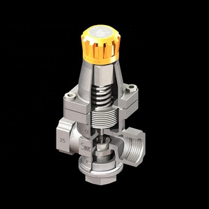 SINOTECH YP-R1/C1, редуктор пара прямого действия, замена YOSHITAKE GD-30/ SPIRAX SARCO BRV2S - Product Image 6