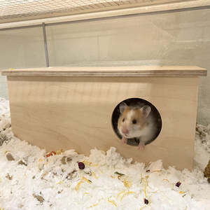 Casetta per Criceti in Legno Sostenibile e di Lusso, Multi-Scomparto, Impermeabile, Gabbia Pieghevole Moderna per Esterni, Rifugio Solido per Piccoli Animali - Product Image 4