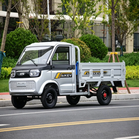 Camionnette quatre roues motrices, véhicule à énergie nouvelle avec moteur 2000W, fourgon électrique pour le transport de marchandises agricoles