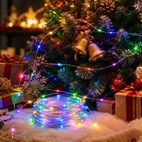 Guirlande lumineuse de haute qualité pour la décoration extérieure de la maison, décorations de Noël, lumières féériques, guirlande lumineuse LED
