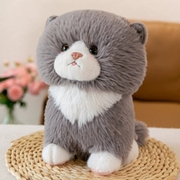 Jouet en peluche de simulation de chaton super doux personnalisé de 2m, lit d'ours mignon de style couette, cadeau d'anniversaire parfait pour le soulagement du stress