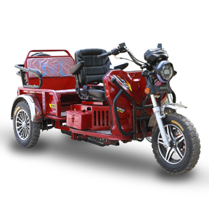 Triciclo de Gasolina con Velocidad Variable Continua, Motocicleta de Carga y Pasajeros para Ancianos, Vehículo de Transporte para Discapacitados - Product Image 1