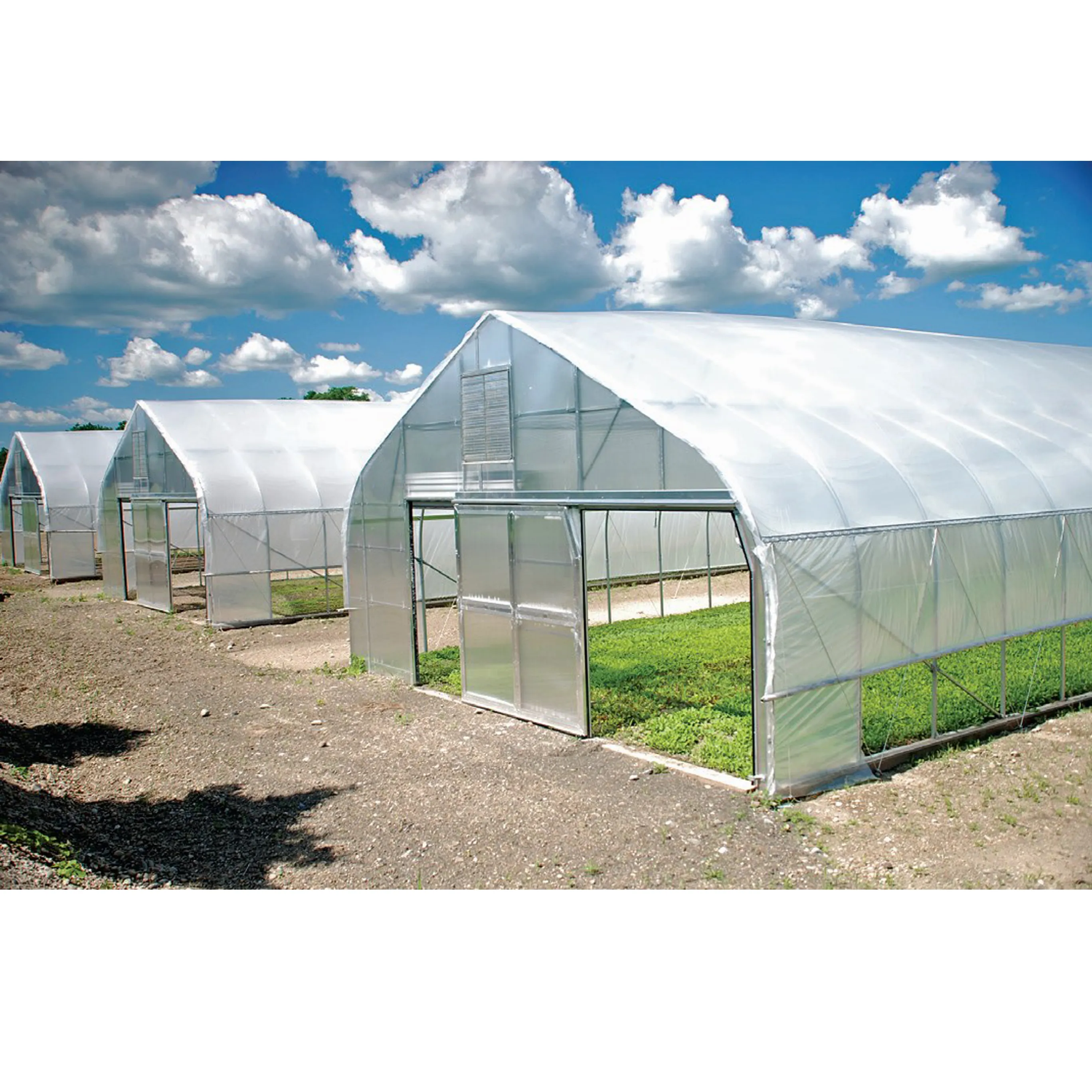 Estufas agrícolas baratas para cultivo de vegetais, filme plástico, com sistema hidropônico, estufa de Polity Tunnel