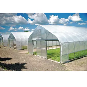 Invernaderos agrícolas Polytunnel de cultivo de verduras baratas, casa verde de película plástica con sistema hidropónico