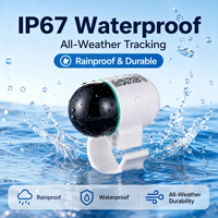 Traceur GPS intelligent écologique pour pigeons de compétition et d'entraînement, avec puce en plastique et boucle, positionnement en temps réel Bluetooth/WiFi