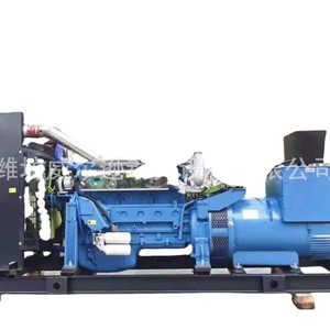 Générateur diesel Weilu 200-300 kW 400/230 V 50 Hz pour usage industriel et agricole - Product Image 3