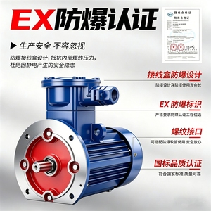 Moteur asynchrone triphasé antidéflagrant YBX3, fil de cuivre horizontal antidéflagrant pour mines de charbon, haute efficacité - Product Image 3