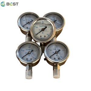 Manómetro de Tubo Bourdon de Acero Inoxidable con Conexión de Latón, Alta Calidad, Marca BCST, 1 Año de Garantía - Product Image 3