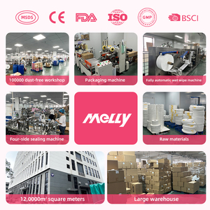 Salviette Intime Monouso Femminili, pH Bilanciato, Formato da Viaggio, Confezione OEM Private Label - Product Image 6