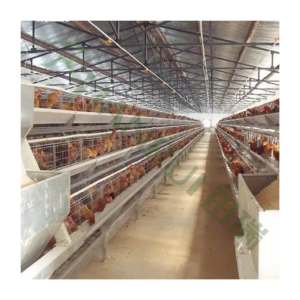 Filipinler katmanlı tavuk kafesleri kuş için 5000 ürün planları galvaniz - Product Image 6